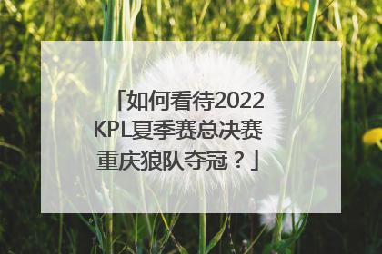 如何看待2022KPL夏季赛总决赛重庆狼队夺冠？