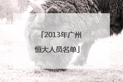 2013年广州恒大人员名单