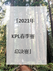 「2021年KPL春季赛总决赛」2021年kpl春季赛总决赛谁赢了