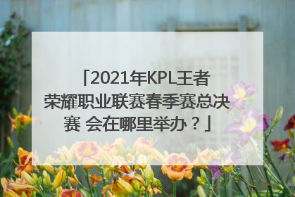 2021年KPL王者荣耀职业联赛春季赛总决赛 会在哪里举办？