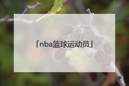 「nba篮球运动员」中国第一位nba篮球运动员