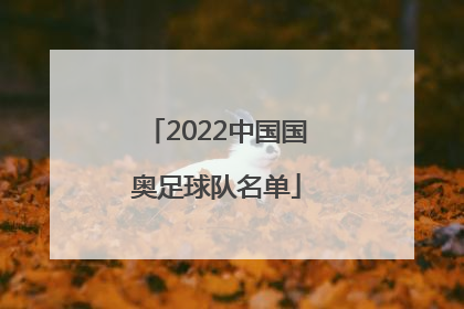 2022中国国奥足球队名单