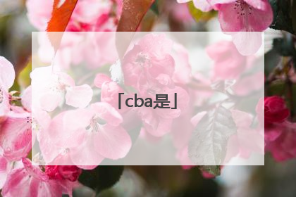 「cba是」cba是什么的缩写